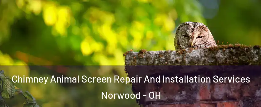  Chimney Animal Screen Repair And Installation Services Norwood - OH