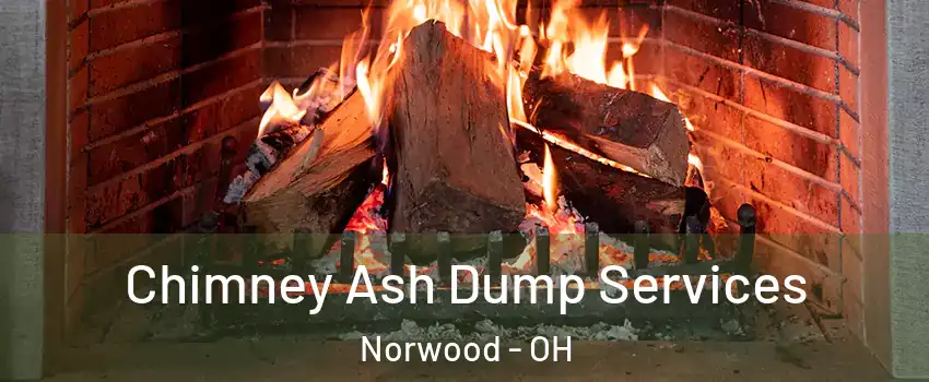  Chimney Ash Dump Services Norwood - OH