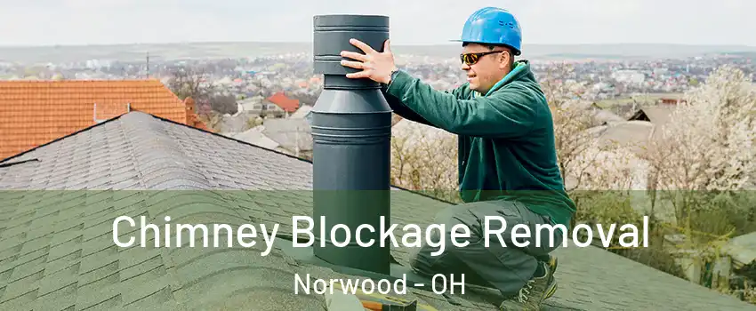  Chimney Blockage Removal Norwood - OH