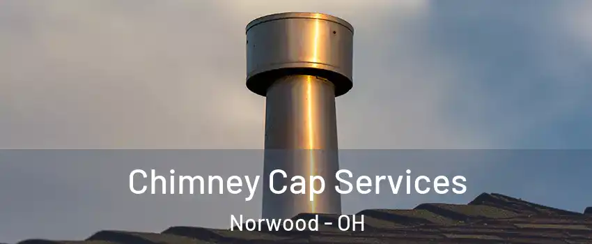  Chimney Cap Services Norwood - OH