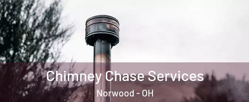  Chimney Chase Services Norwood - OH