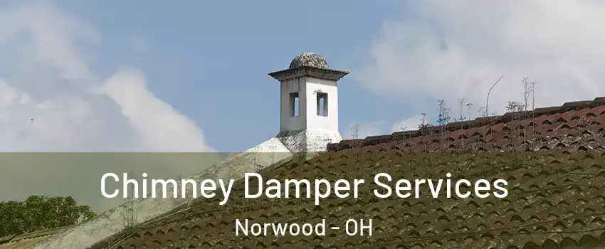  Chimney Damper Services Norwood - OH