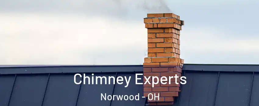  Chimney Experts Norwood - OH
