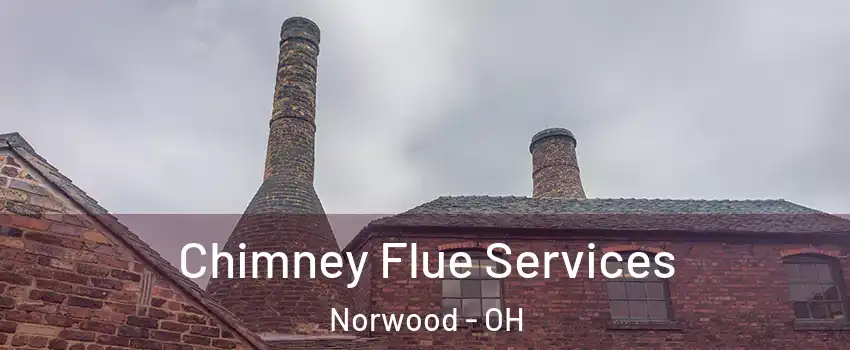  Chimney Flue Services Norwood - OH