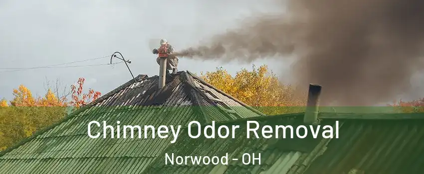  Chimney Odor Removal Norwood - OH