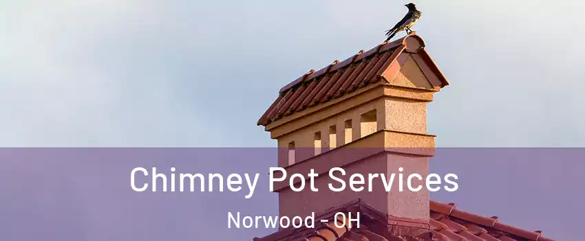  Chimney Pot Services Norwood - OH