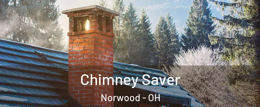  Chimney Saver Norwood - OH