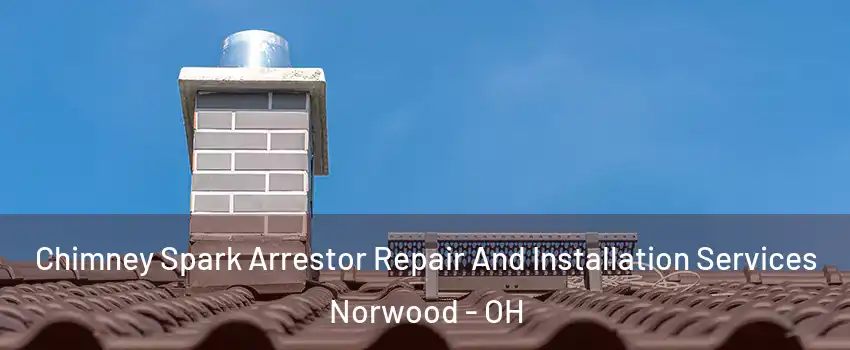  Chimney Spark Arrestor Repair And Installation Services Norwood - OH