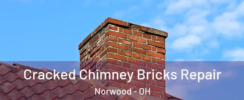  Cracked Chimney Bricks Repair Norwood - OH