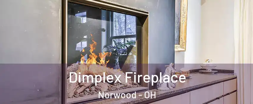  Dimplex Fireplace Norwood - OH