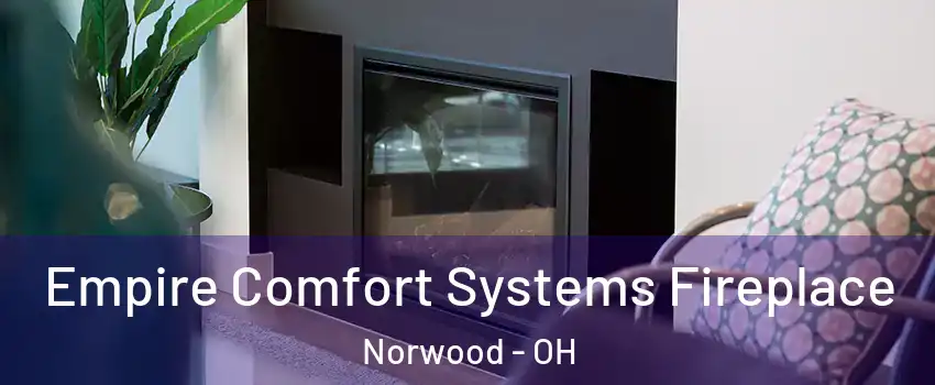  Empire Comfort Systems Fireplace Norwood - OH