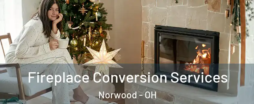  Fireplace Conversion Services Norwood - OH