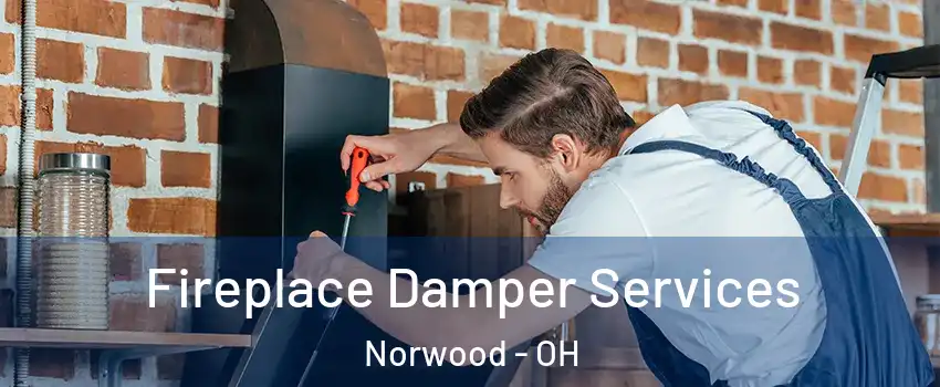  Fireplace Damper Services Norwood - OH