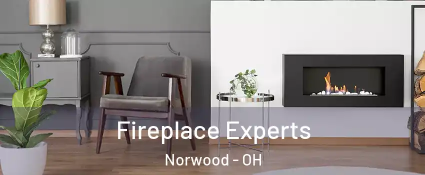  Fireplace Experts Norwood - OH