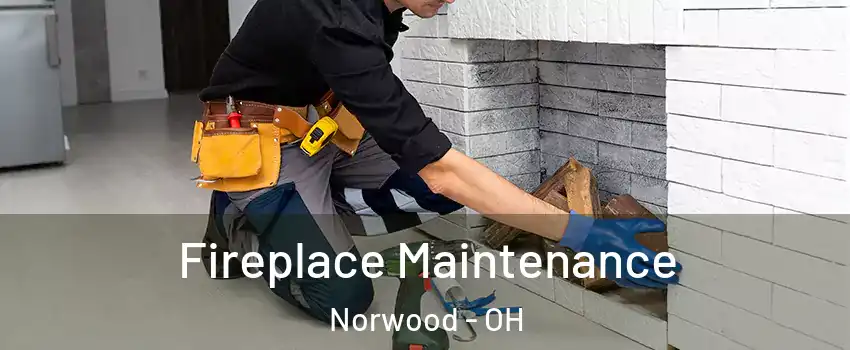  Fireplace Maintenance Norwood - OH