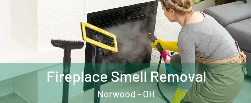  Fireplace Smell Removal Norwood - OH