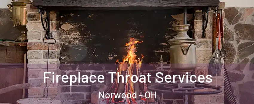  Fireplace Throat Services Norwood - OH