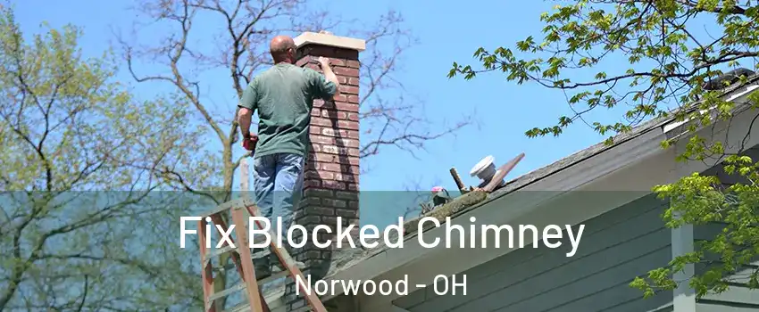  Fix Blocked Chimney Norwood - OH