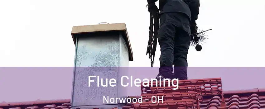  Flue Cleaning Norwood - OH