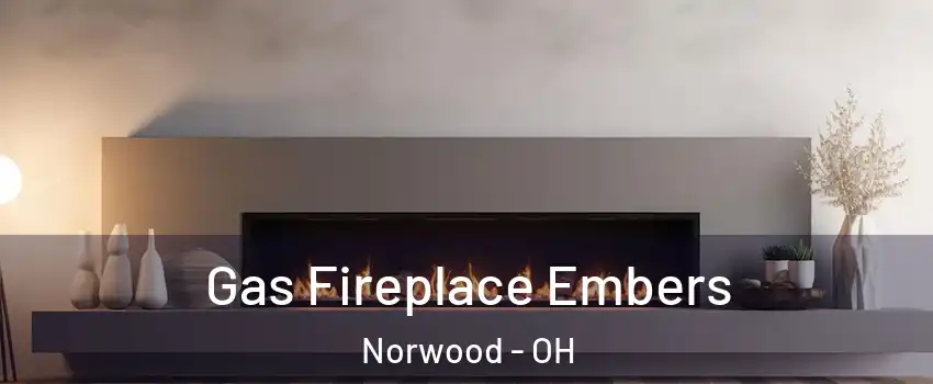  Gas Fireplace Embers Norwood - OH