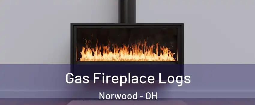  Gas Fireplace Logs Norwood - OH