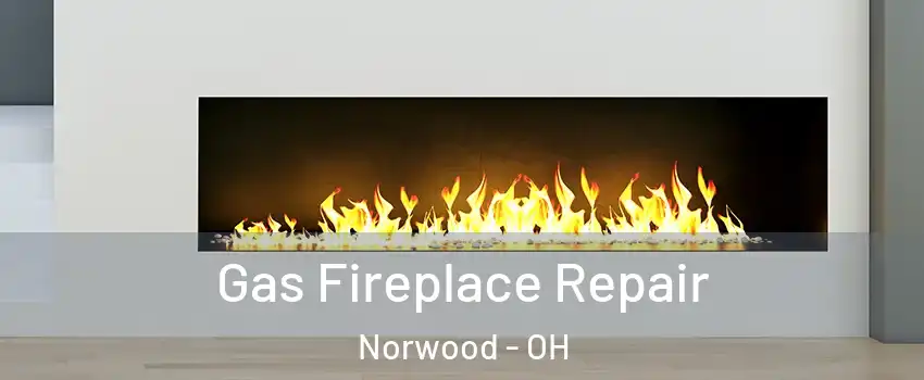  Gas Fireplace Repair Norwood - OH