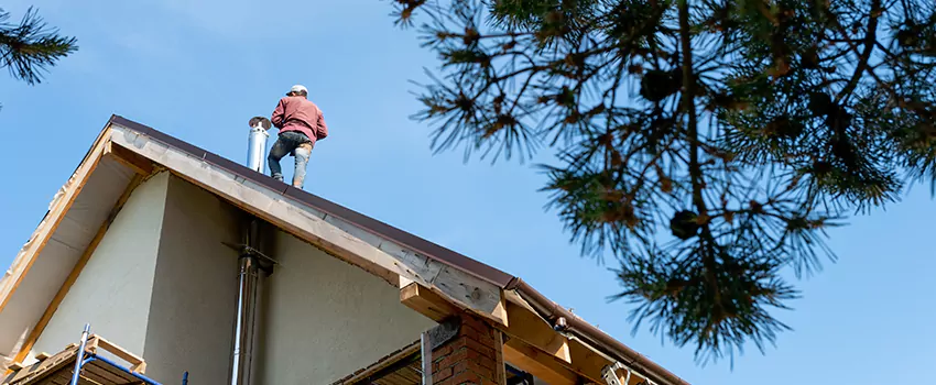 Birds Removal Contractors from Chimney in Norwood, OH