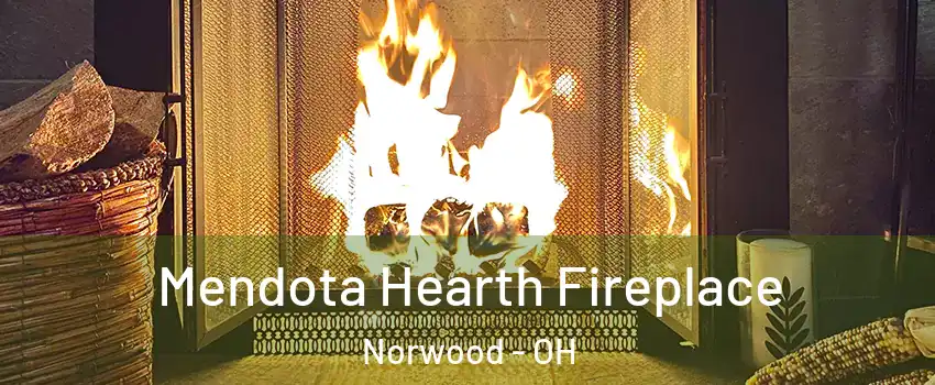  Mendota Hearth Fireplace Norwood - OH