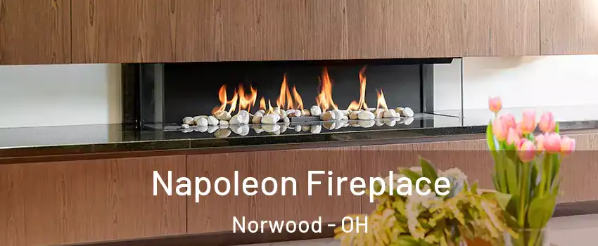  Napoleon Fireplace Norwood - OH