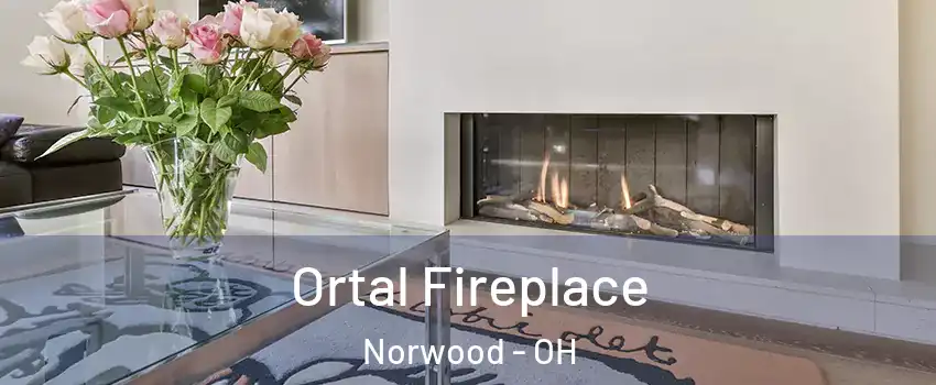  Ortal Fireplace Norwood - OH